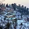 Shimla Hotels