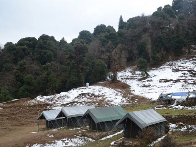 Camping in Chopta