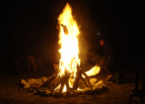 Jungle Camping Rishikesh