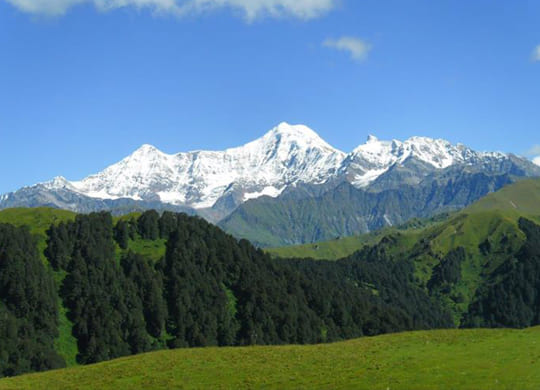 Dayara Trek